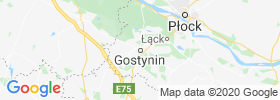 Gostynin map